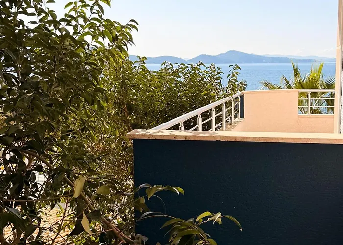 Alexis Beach - Pet Friendly
